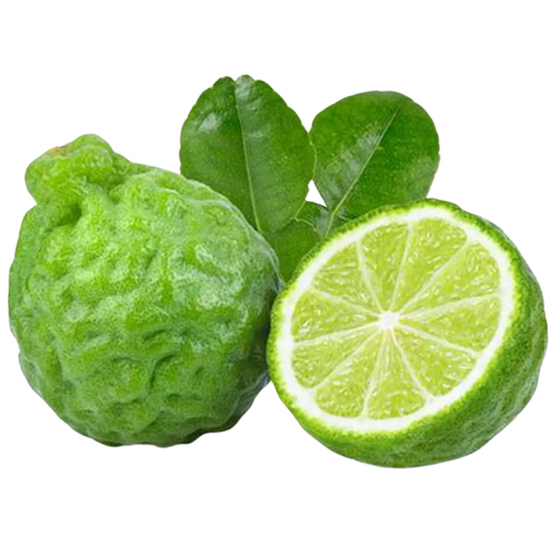 A green kaffir lime with a sliced half showing its juicy interior and some green leaves in the background.