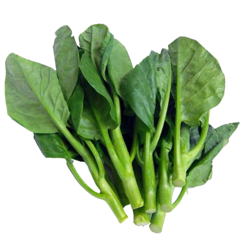 Hong Kong Kale คะน้าฮ่องกง