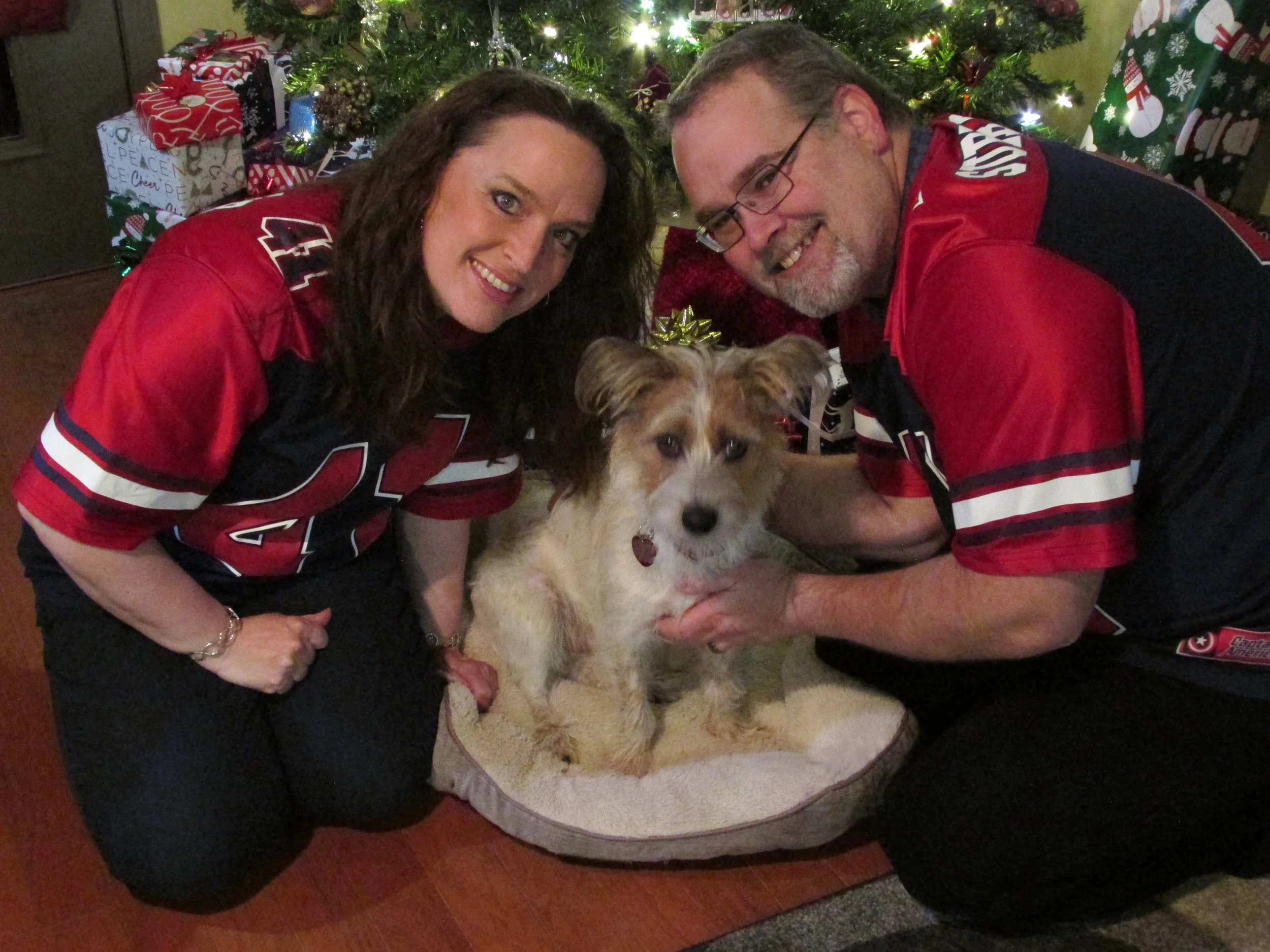 A smiling woman and man wearing matching red and black sports jerseys kneel beside a Jack Russell Terrier with a small bow in front of a decorated Christmas tree with wrapped presents underneath.