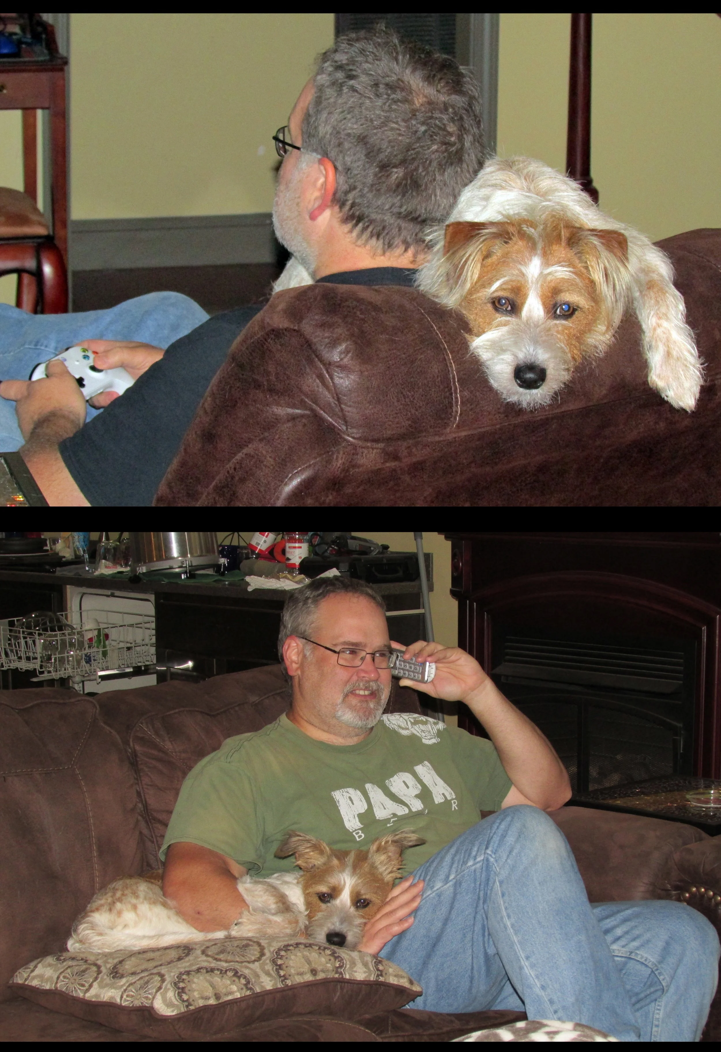 Jack chilling with me on my breaks.