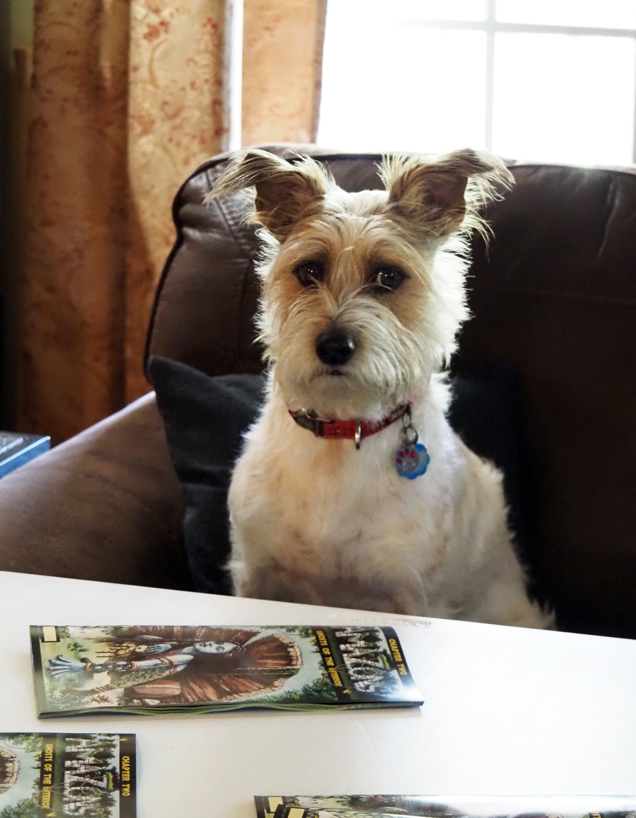 "You're naming your company after WHO? Does this mean I get royalties? I'm upgrading my doggy bed!"