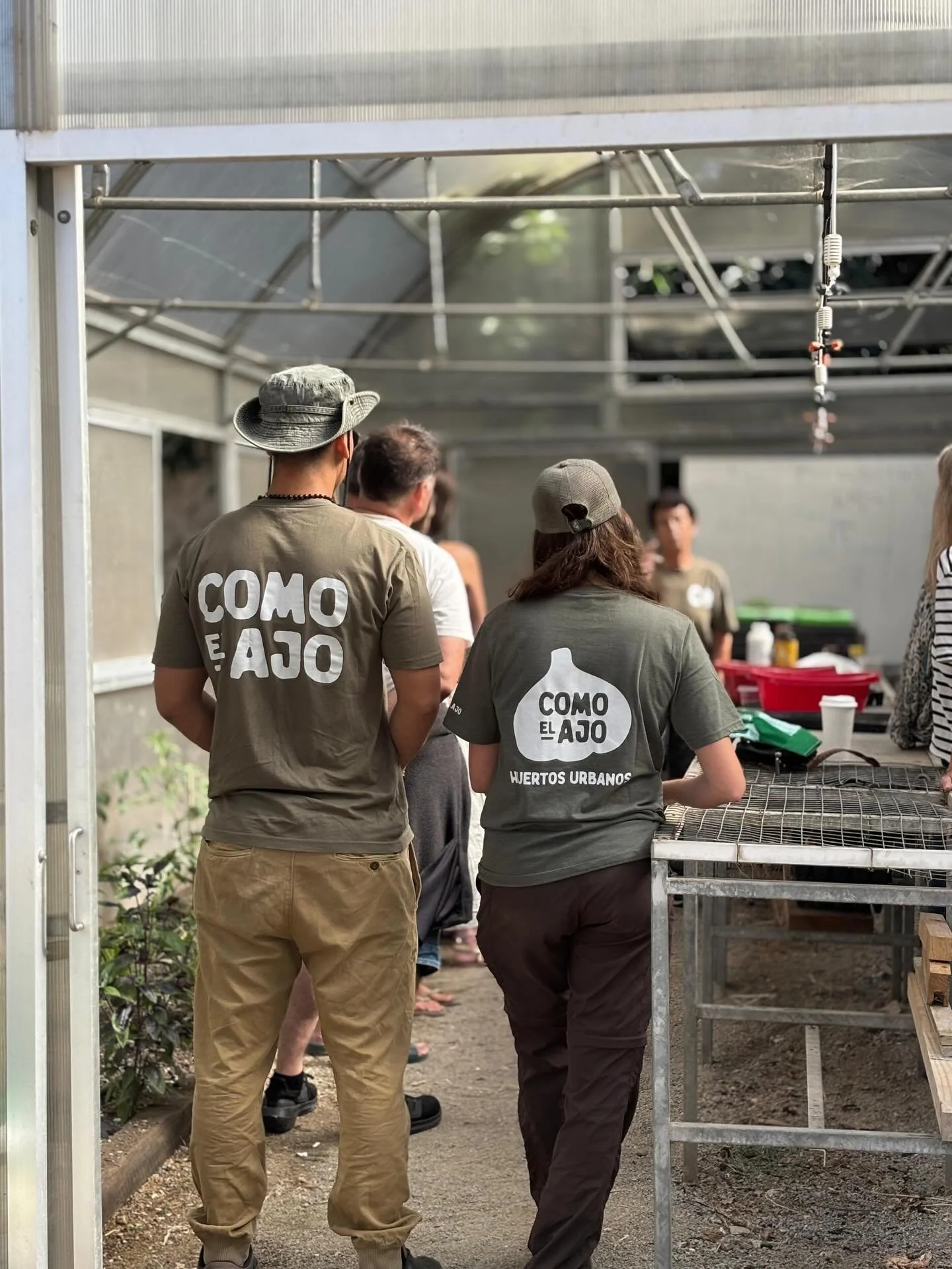 El s&aacute;bado 14 de marzo, junto a Lo Matta, realizamos un taller colaborativo de alm&aacute;cigos de brassicas en el huerto.

Durante la jornada trabajamos en:

🌱 Tipos de semillas de brassicas y sus principales caracter&iacute;sticas.

🪴 Uso d