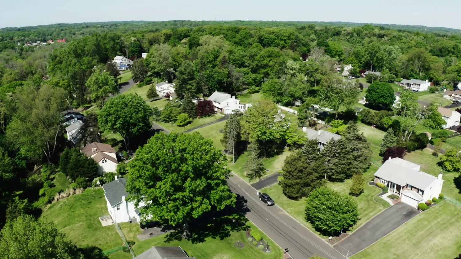 Commercial landscape maintenance across tree-lined residential community in Katy, TX