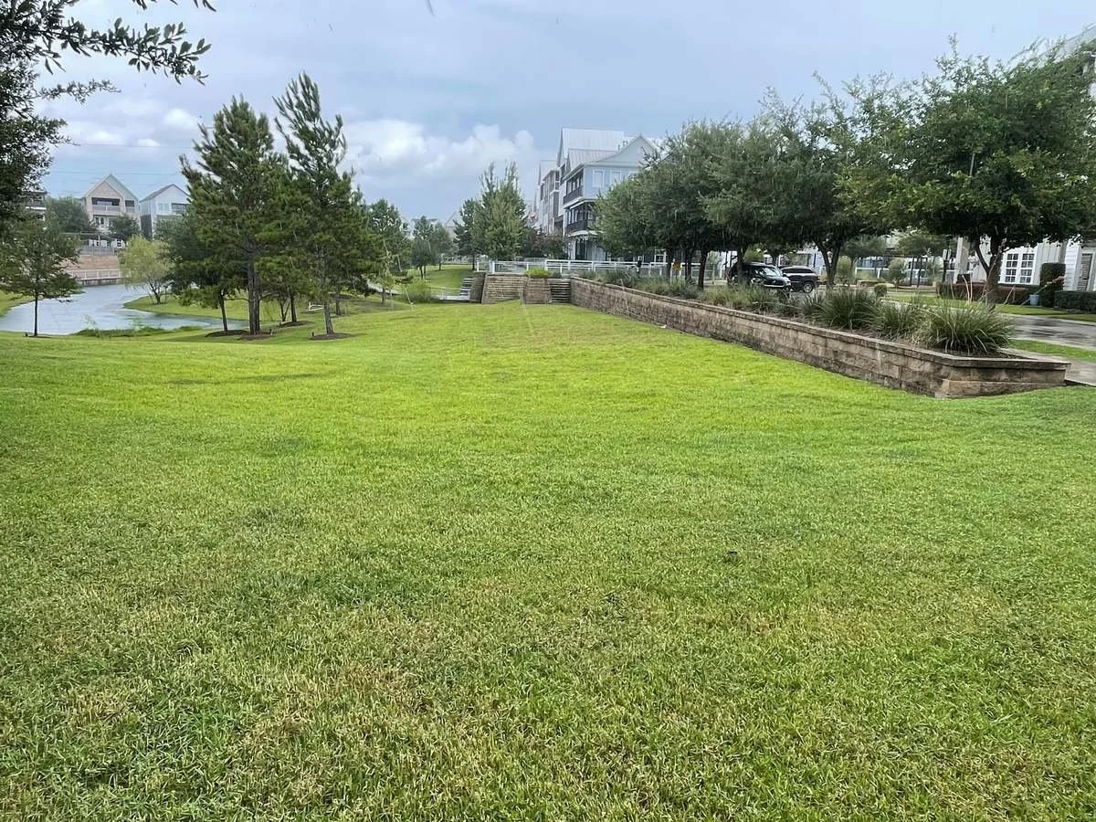 Green common-area lawn and planted retaining wall beside the Kolbe Farms retention pond. — Ethoscapes