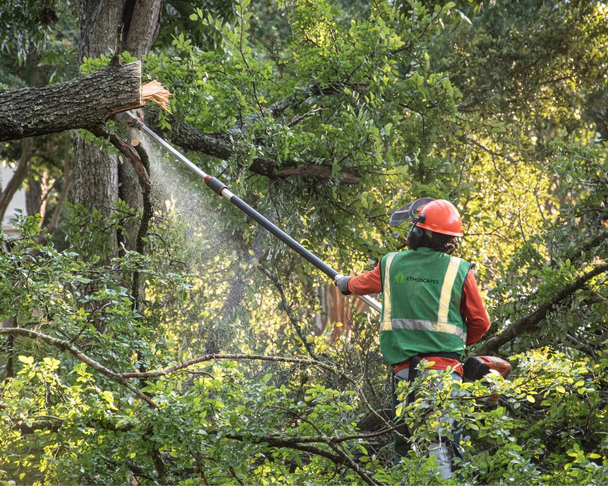 What Sets a True Commercial Landscape Contractor Apart in Harris County, TX