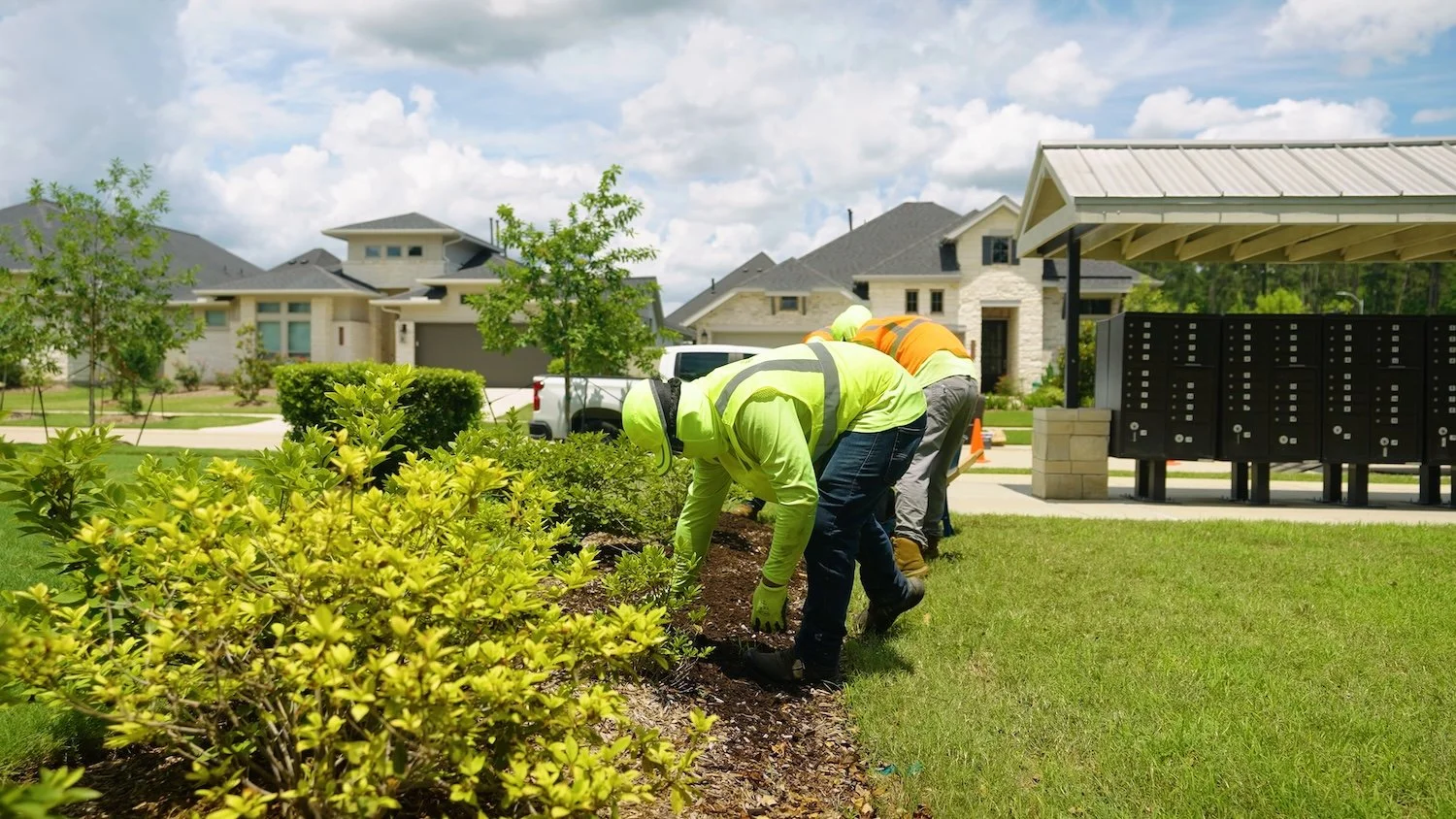 Ethoscapes crew members planting seasonal plantings