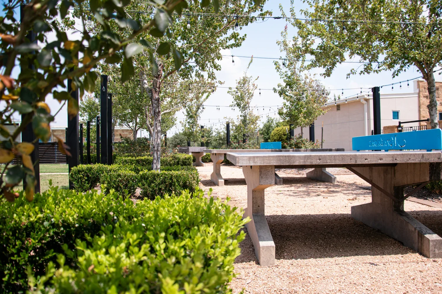 Commercial lawn care team maintaining large HOA site in Klein, TX