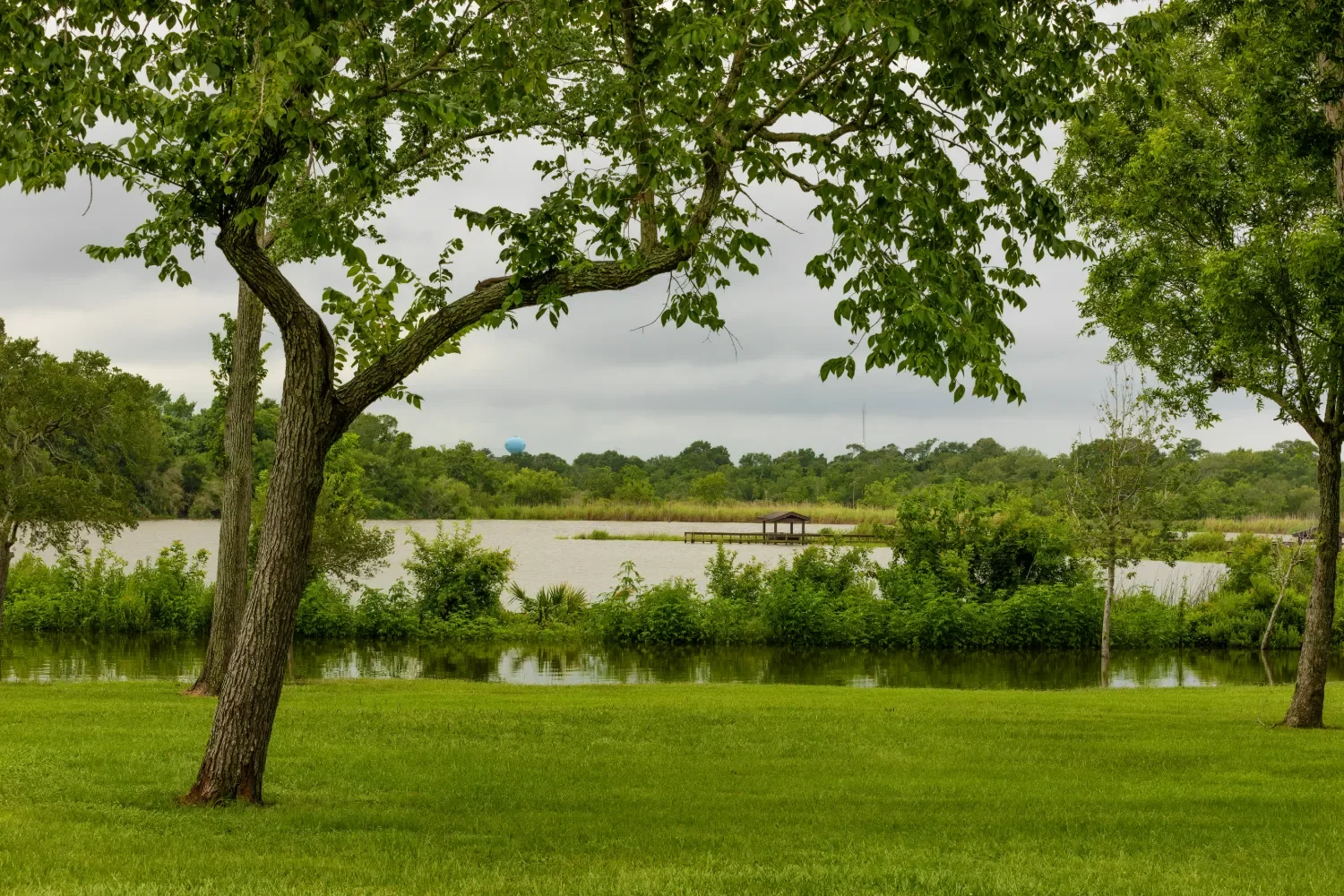 Commercial landscape maintenance at modern office building in Fort Bend County, TX