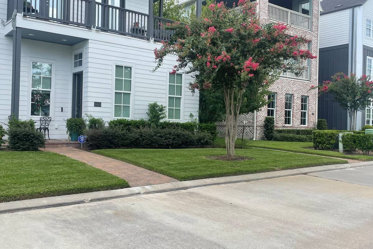 Crepe myrtle, trimmed shrubs and green turf framing a front walk at Kolbe Farms. — Ethoscapes