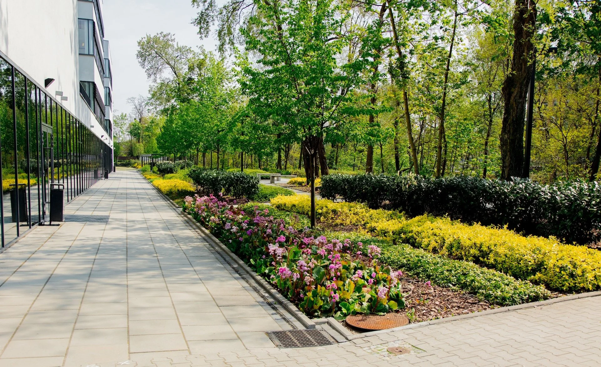 Avoid These Common Commercial Landscape Maintenance Mistakes in Texas