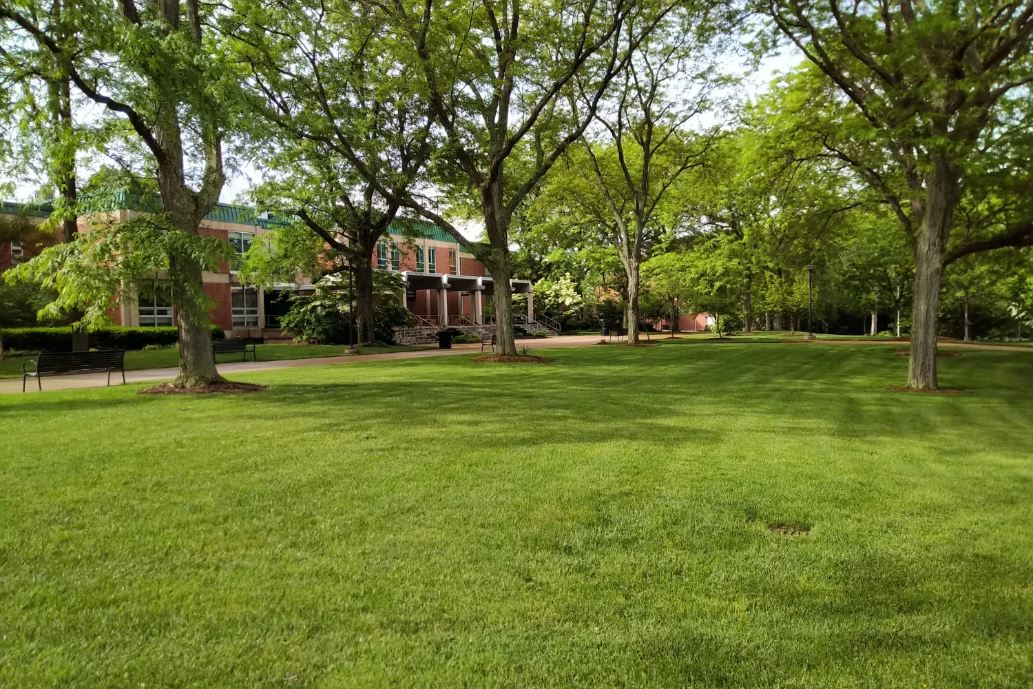 Campus Landscaping Services in Sugar Land, TX | Ethoscapes