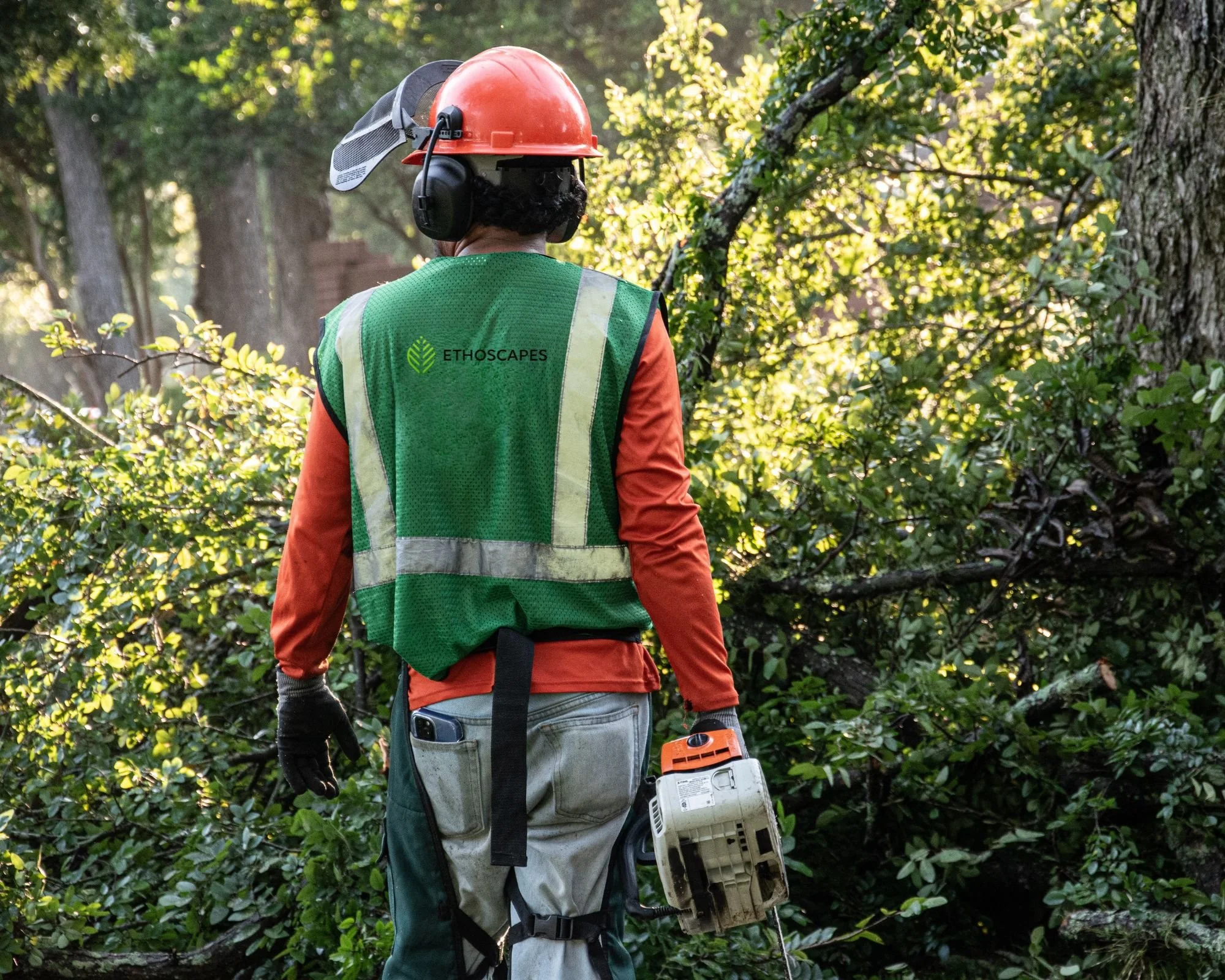 Commercial Tree Care Company in Sugar Land, TX: Protecting Your Property's Most Valuable Assets