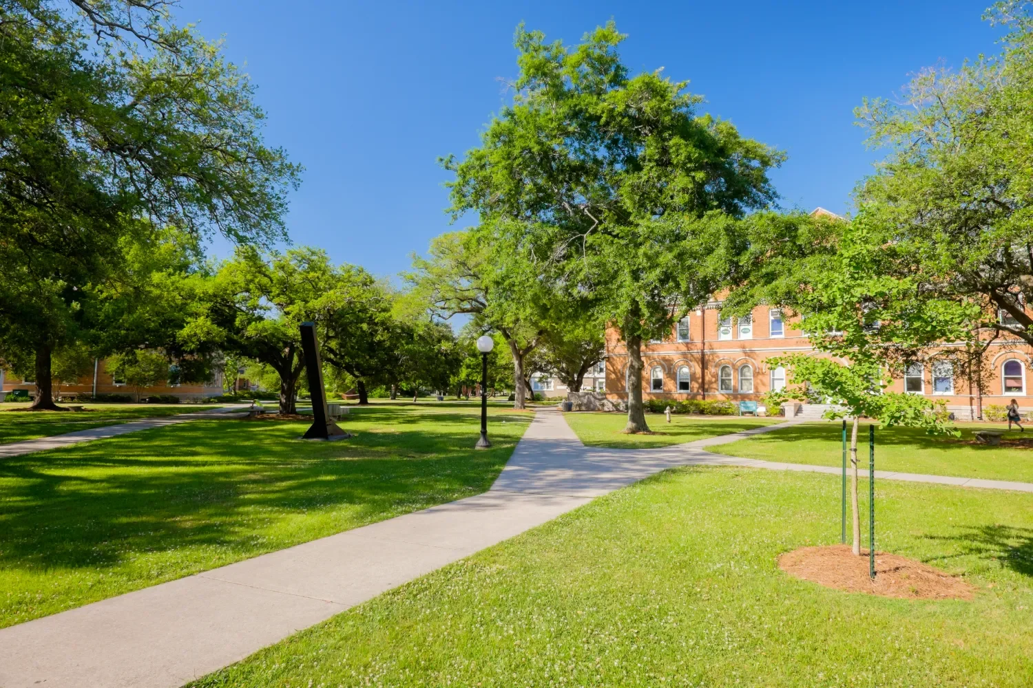 Higher Education Landscaping in Houston, TX