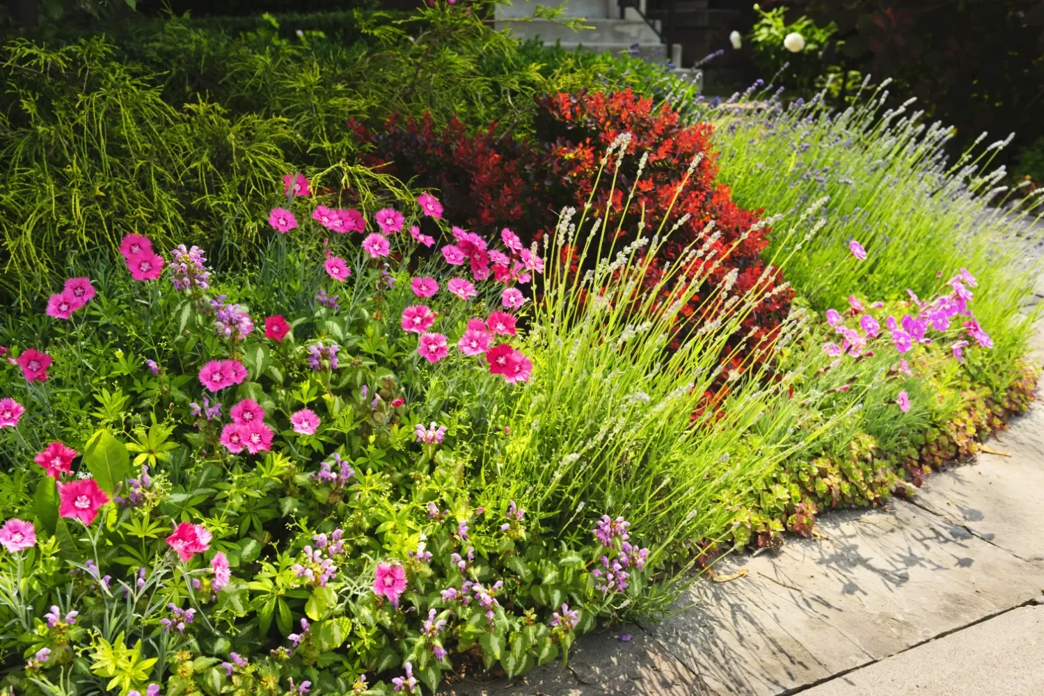 Westco Grounds Maintenance Now Part of Ethoscapes Commercial Landscaping Houston