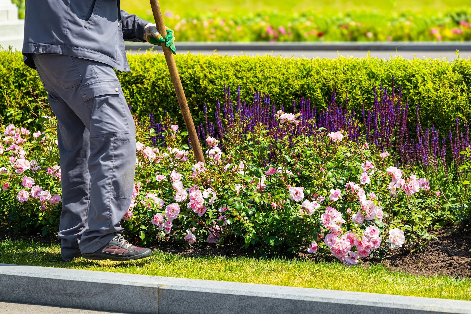 Commercial landscape maintenance and lawn care
