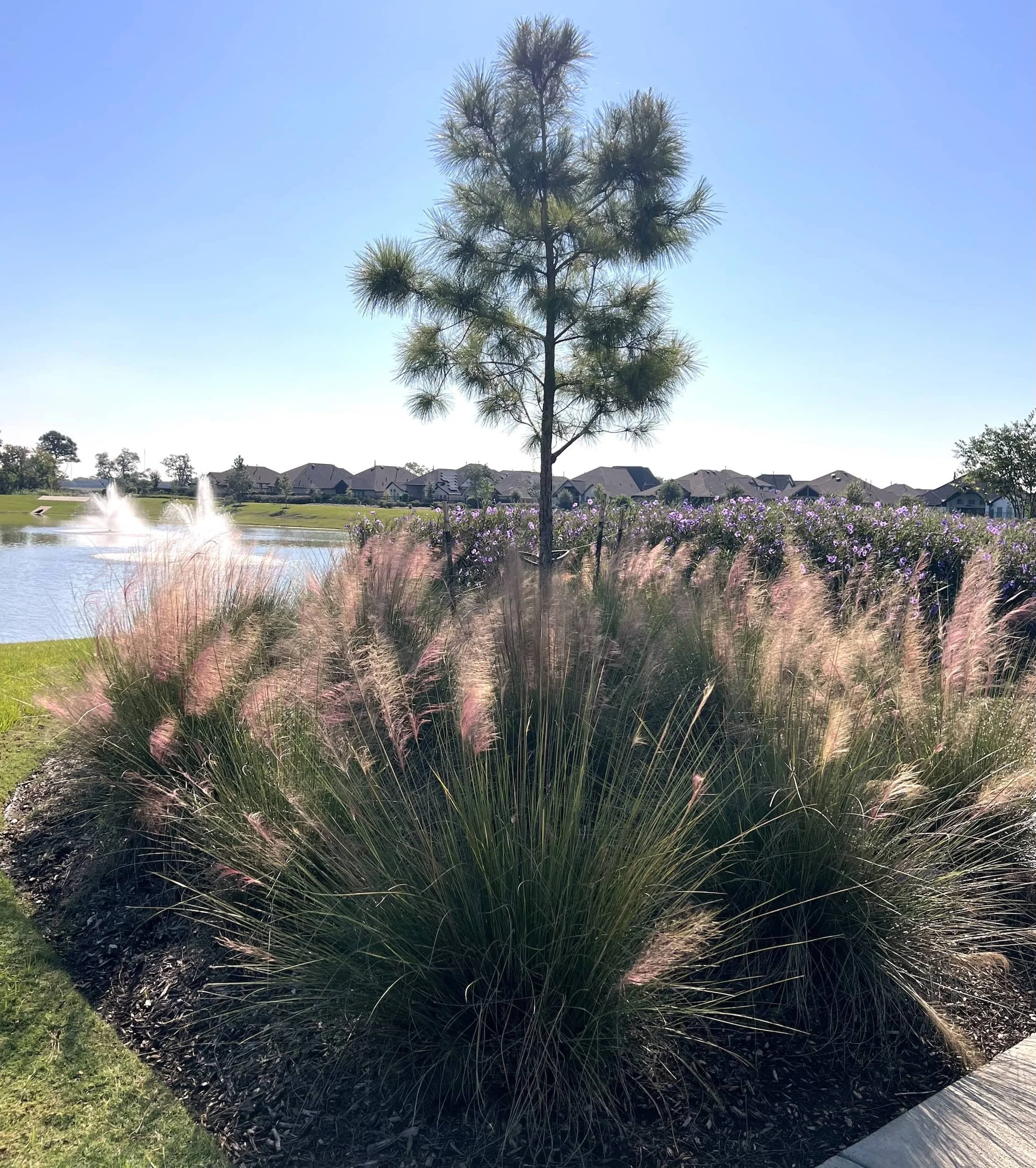 Professional commercial landscape maintenance with irrigation oversight in Houston, TX