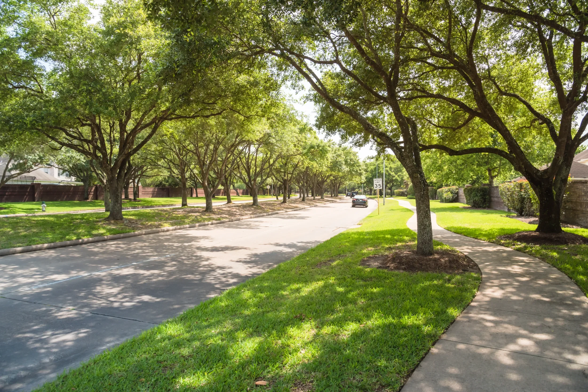 Commercial landscaping services for community recreation and park space in Katy, TX