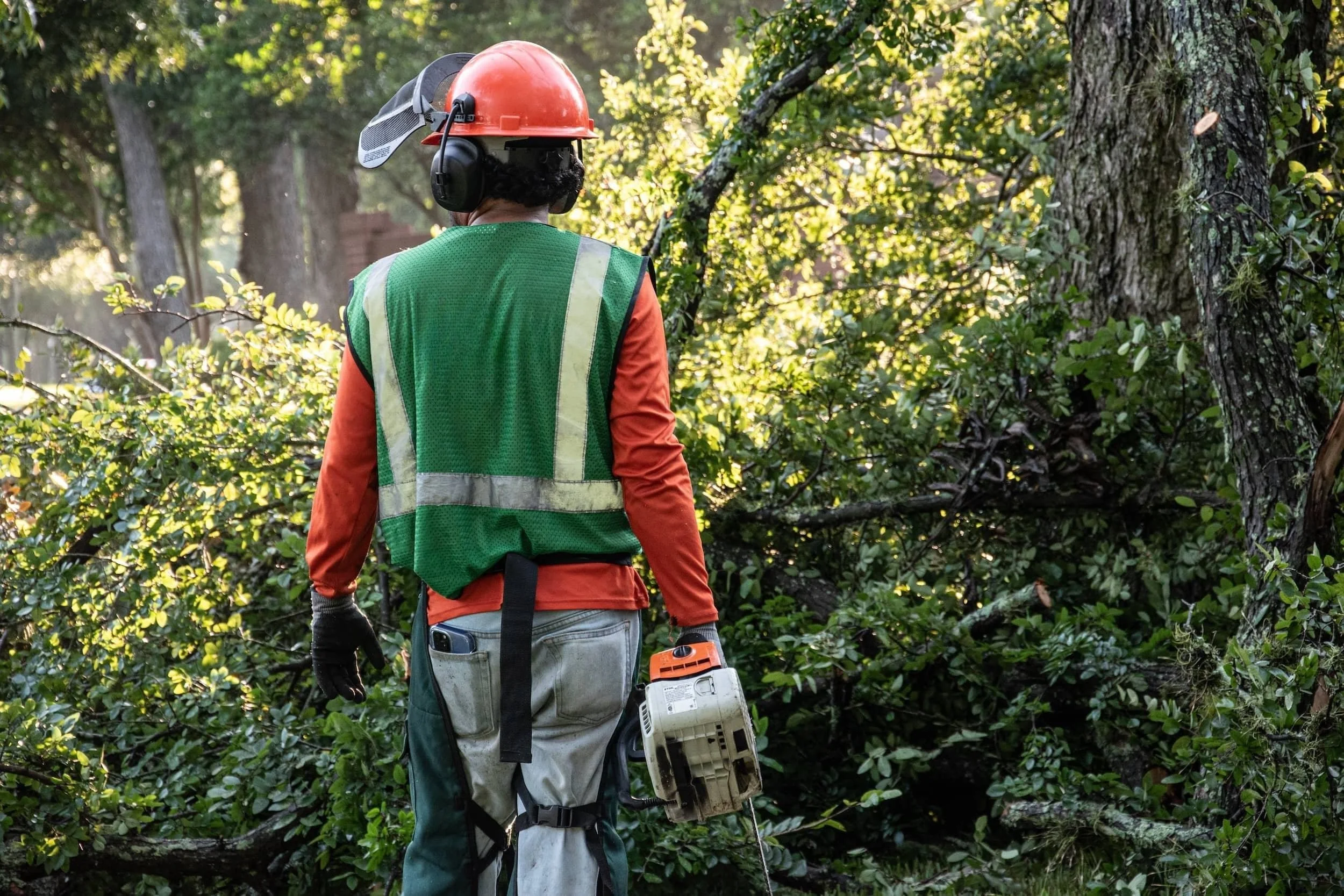 Certified commercial landscape contractor conducting tree maintenance in Harris County, TX