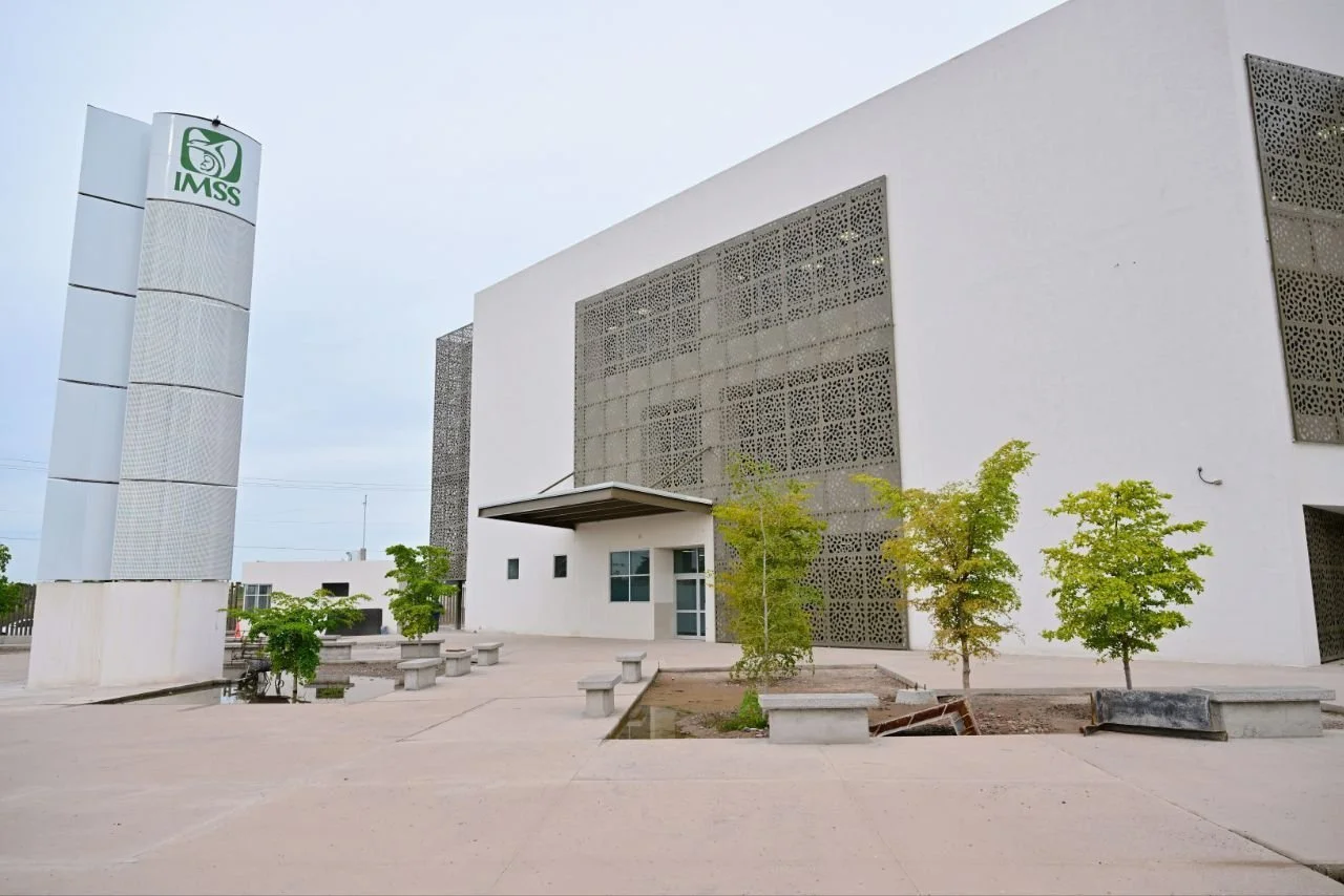 WhatsApp Image 2026-02-07 at 4.40.32 PM.jpeg