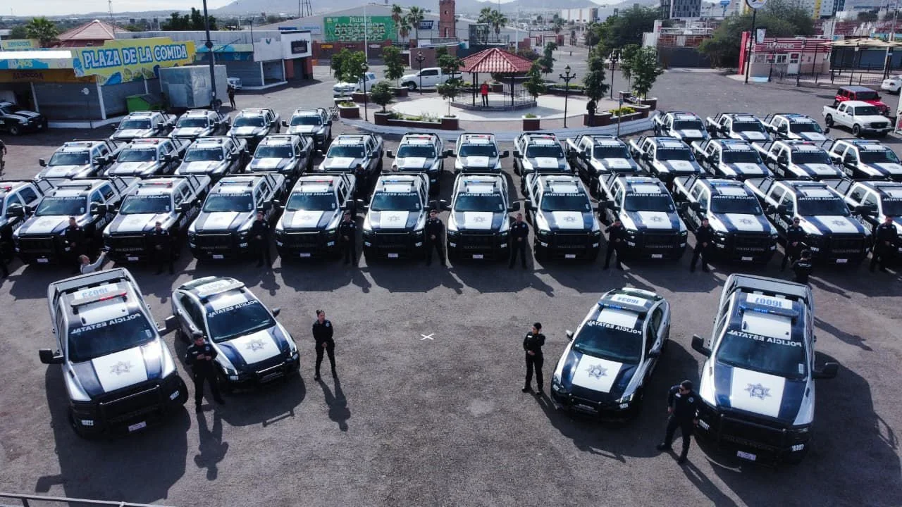 WhatsApp Image 2026-01-06 at 4.51.43 PM.jpeg