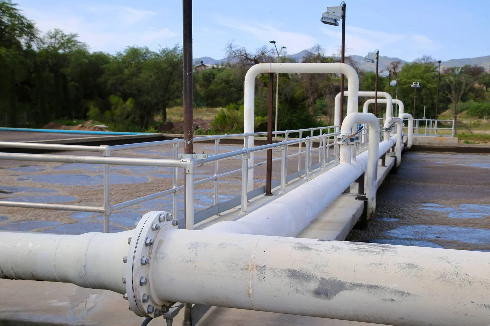 WhatsApp Image 2026-03-29 at 2.46.57 PM.jpeg