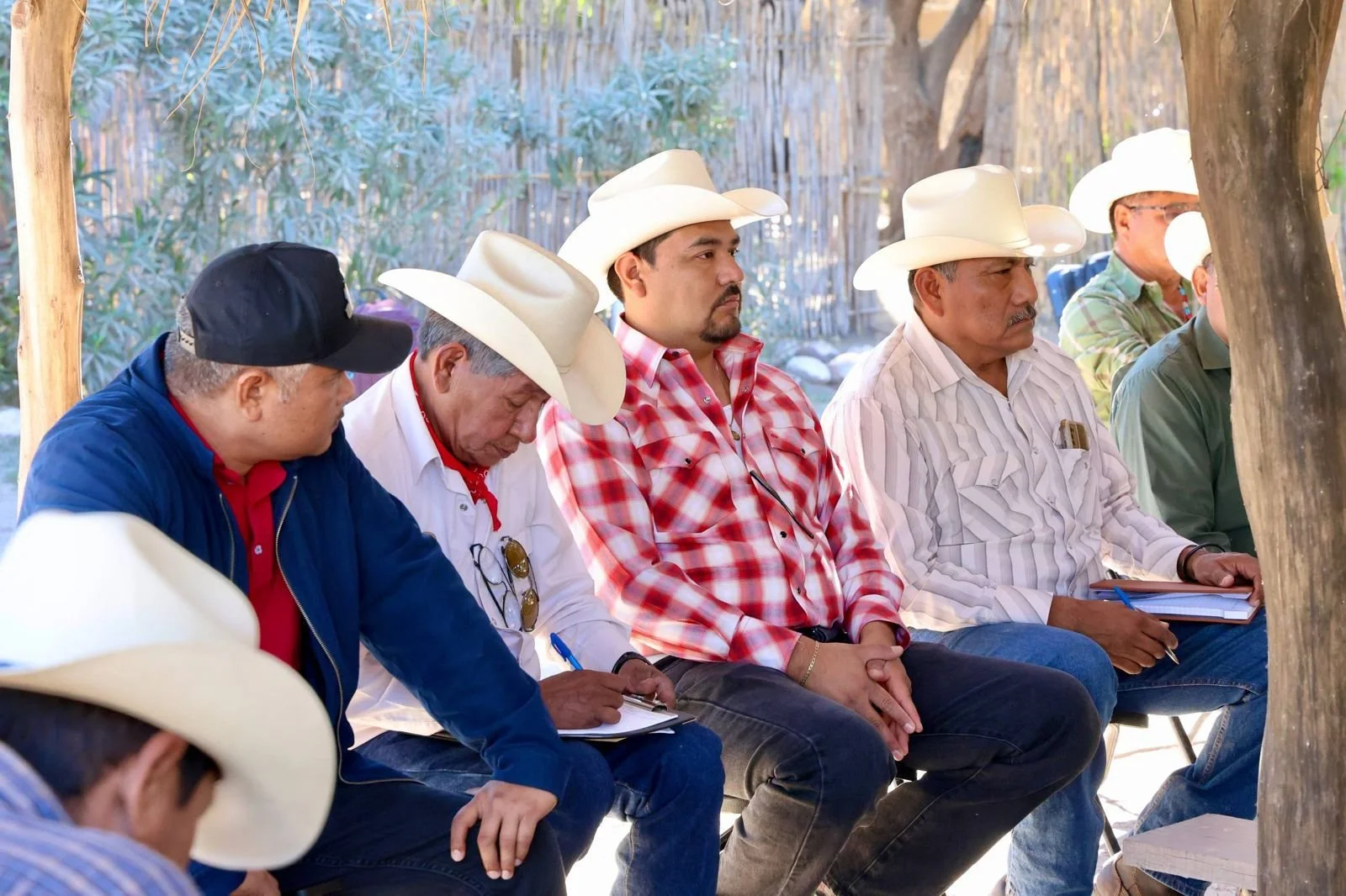 WhatsApp Image 2025-12-19 at 5.09.31 PM.jpeg