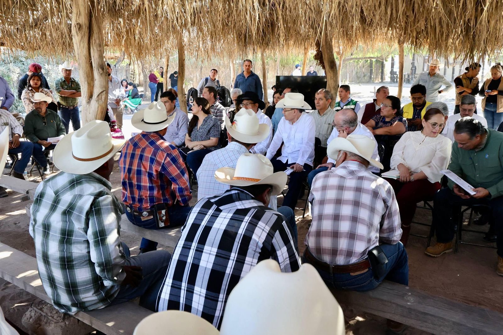 WhatsApp Image 2025-12-19 at 5.09.30 PM.jpeg