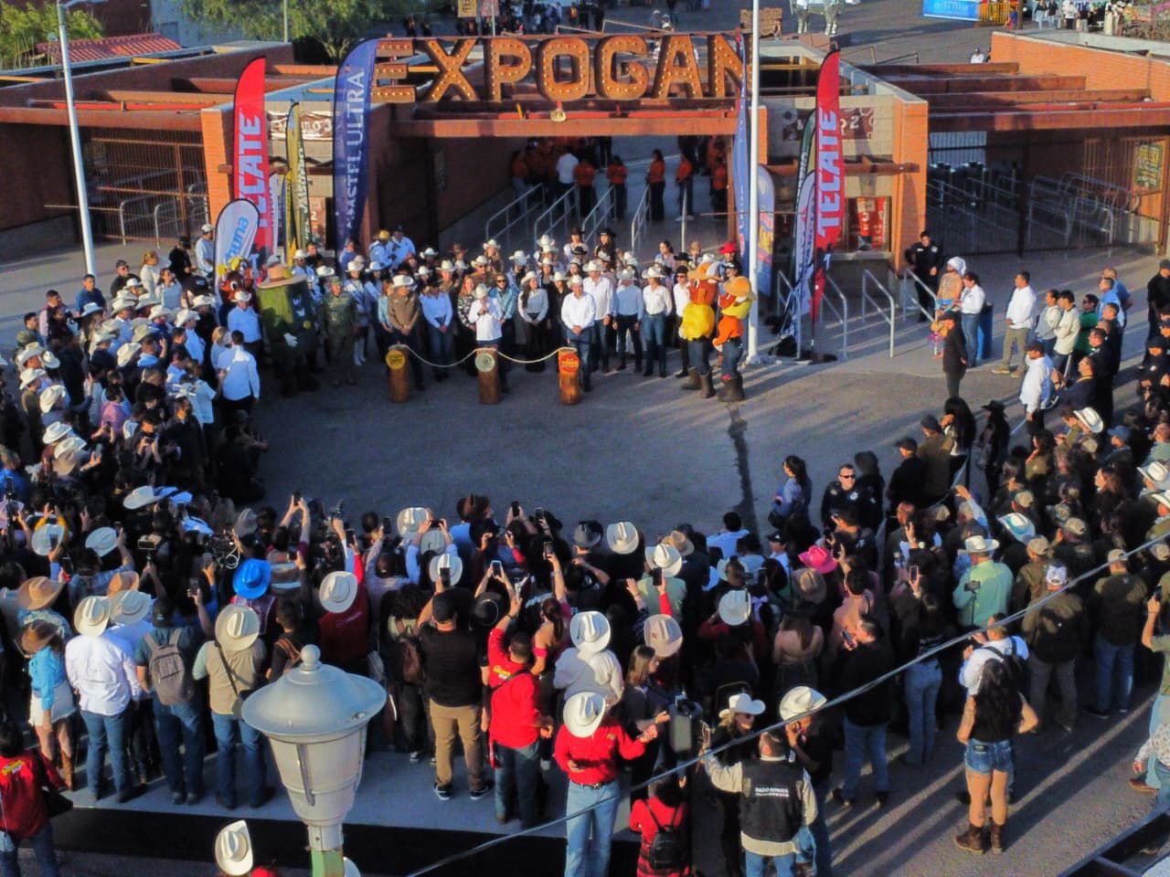 WhatsApp Image 2026-04-22 at 8.33.17 PM.jpeg