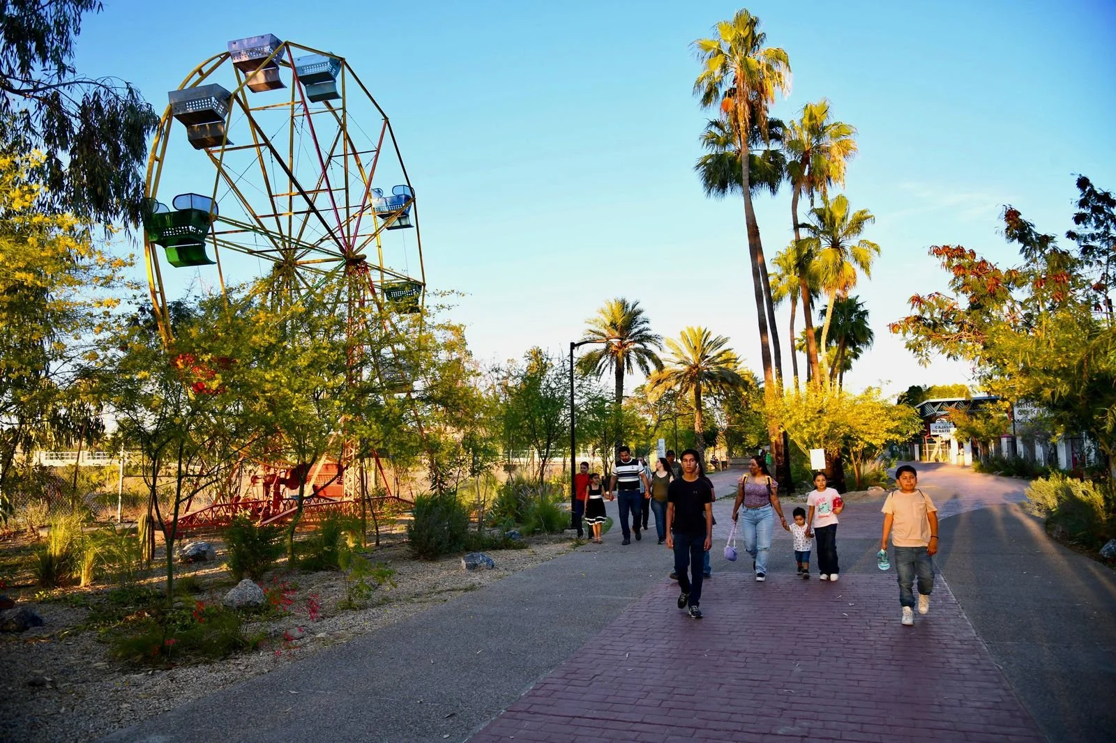 WhatsApp Image 2026-03-17 at 5.48.24 PM.jpeg