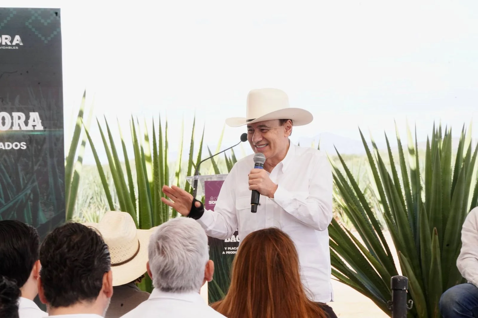 WhatsApp Image 2026-02-10 at 5.33.18 PM.jpeg