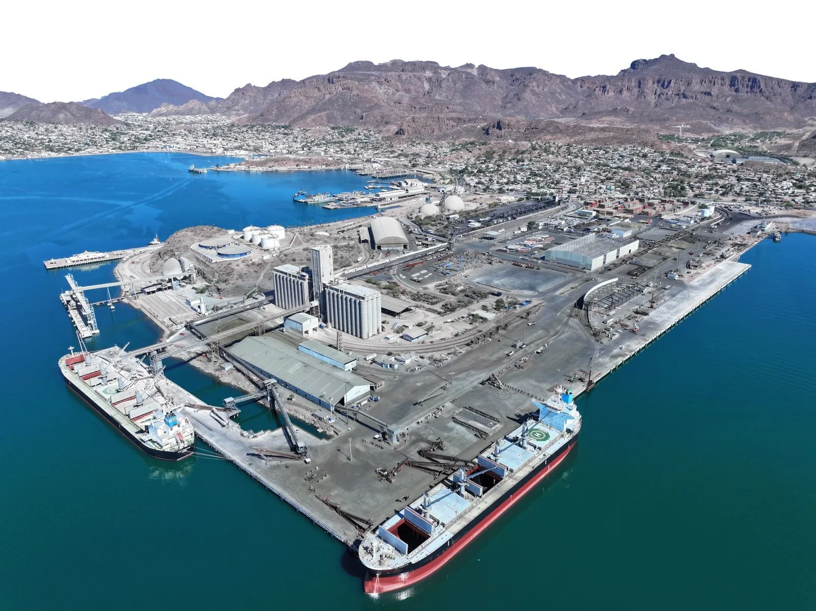 WhatsApp Image 2026-01-31 at 9.47.29 AM.jpeg