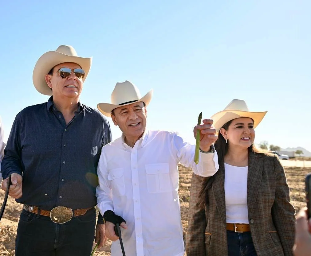 Durazo arranca cosecha de espárrago y consolida liderazgo agroexportador de Sonora