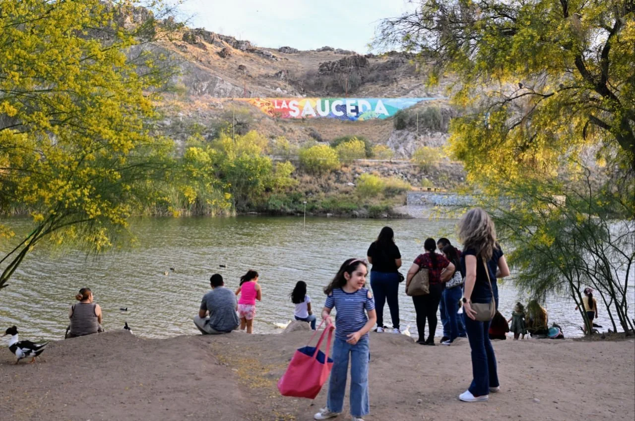 WhatsApp Image 2026-03-17 at 5.48.24 PM (1).jpeg