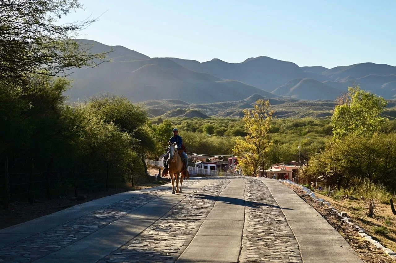 WhatsApp Image 2025-12-28 at 3.21.50 PM.jpeg