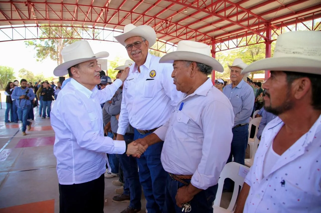 WhatsApp Image 2026-01-29 at 5.52.49 PM (1).jpeg