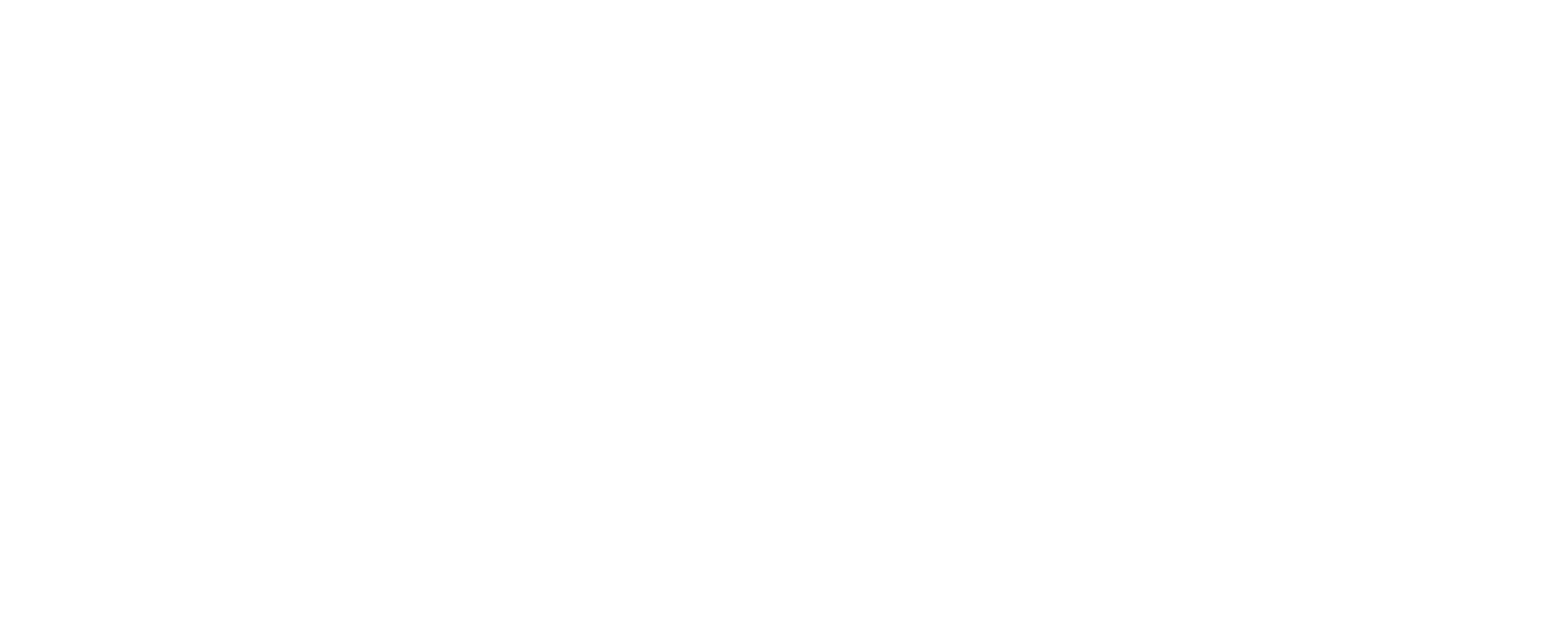 Capture Digital Solutions 