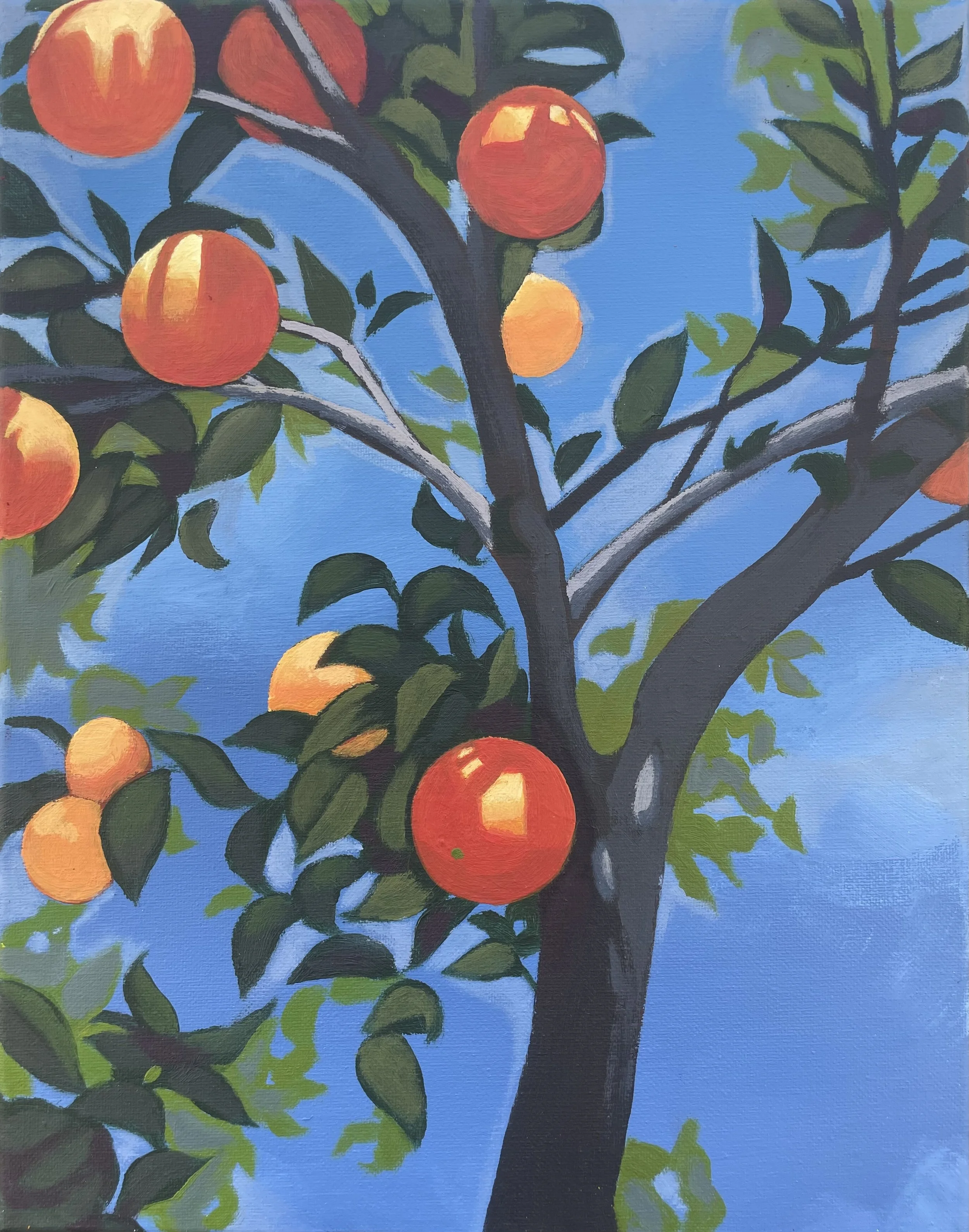Branches of Orange