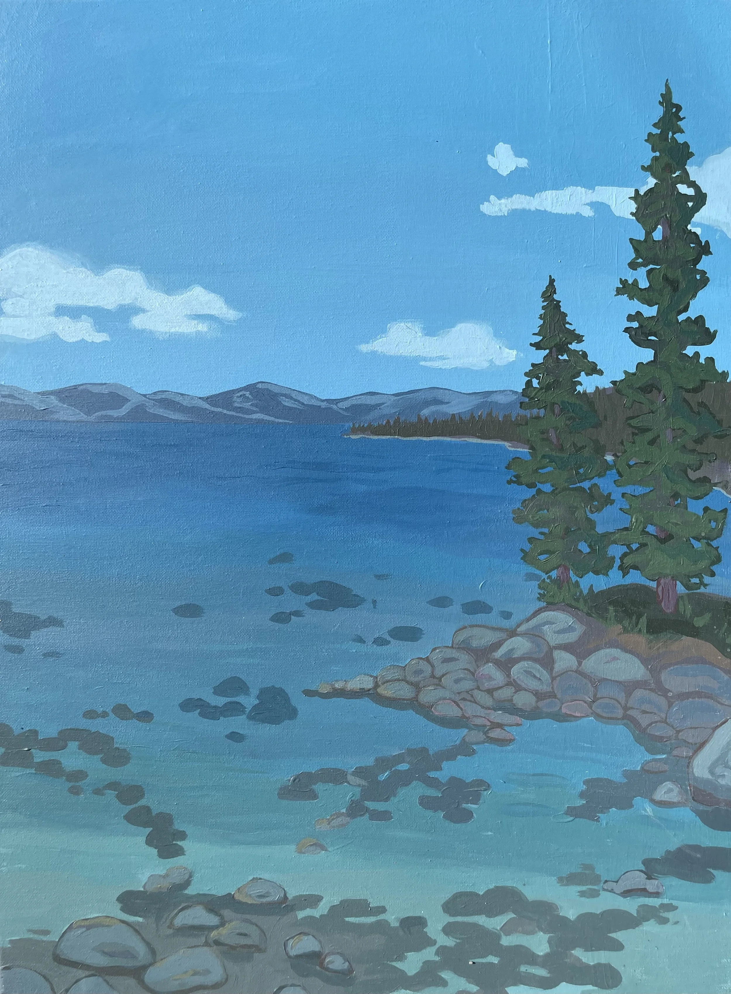 Tahoe Landscape