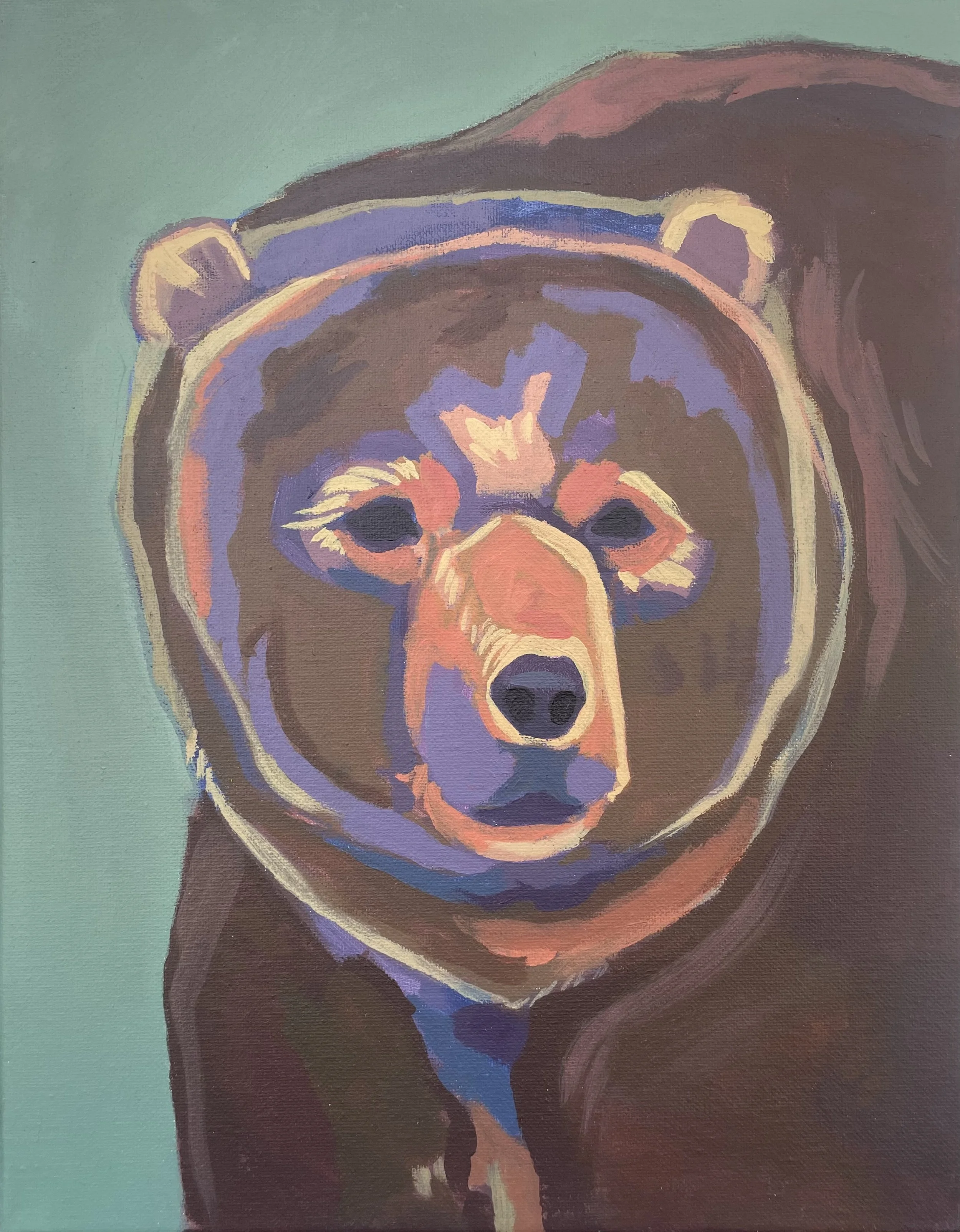 Bear in Tahoe