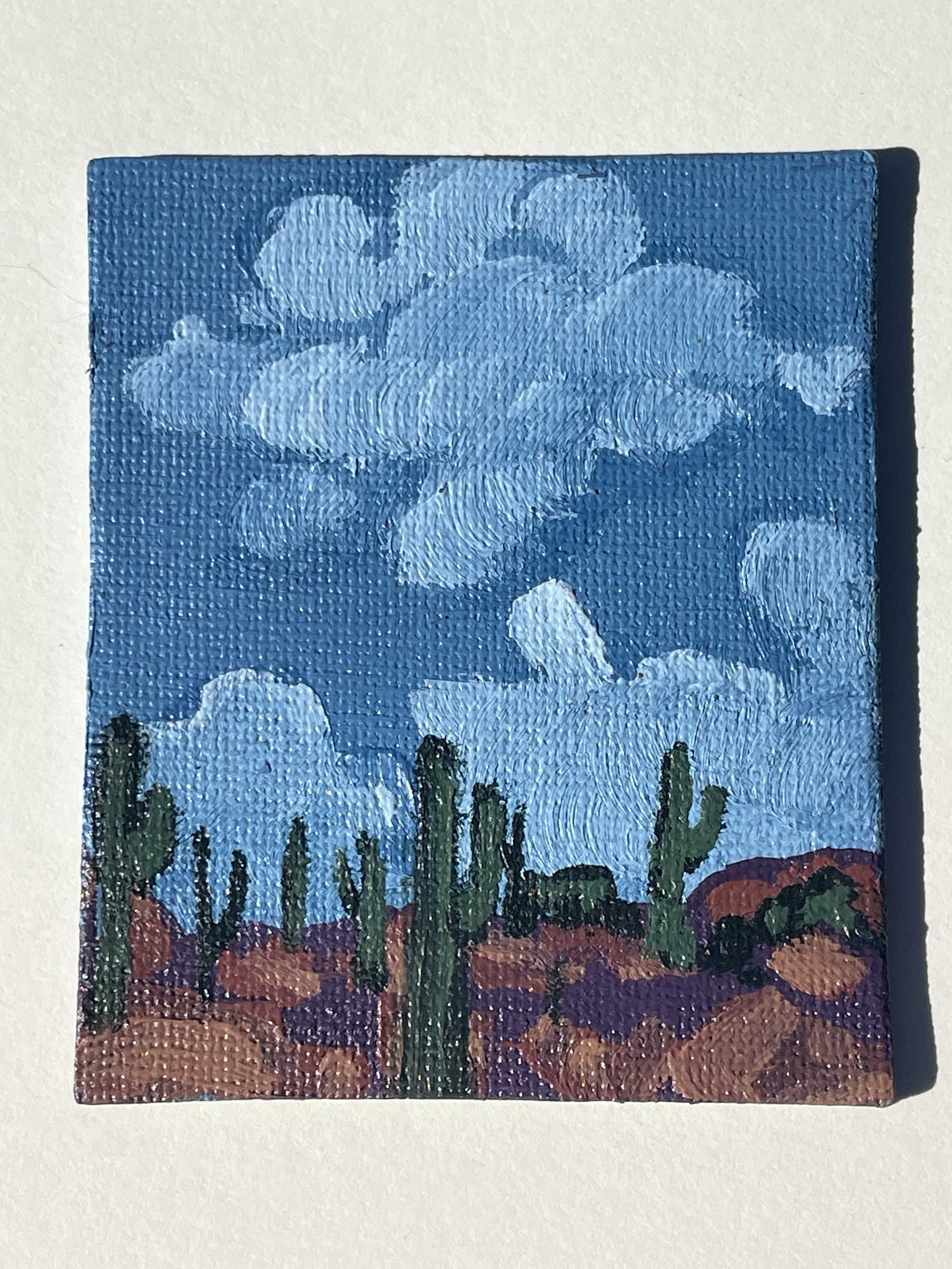 Cactus and Clouds magnet