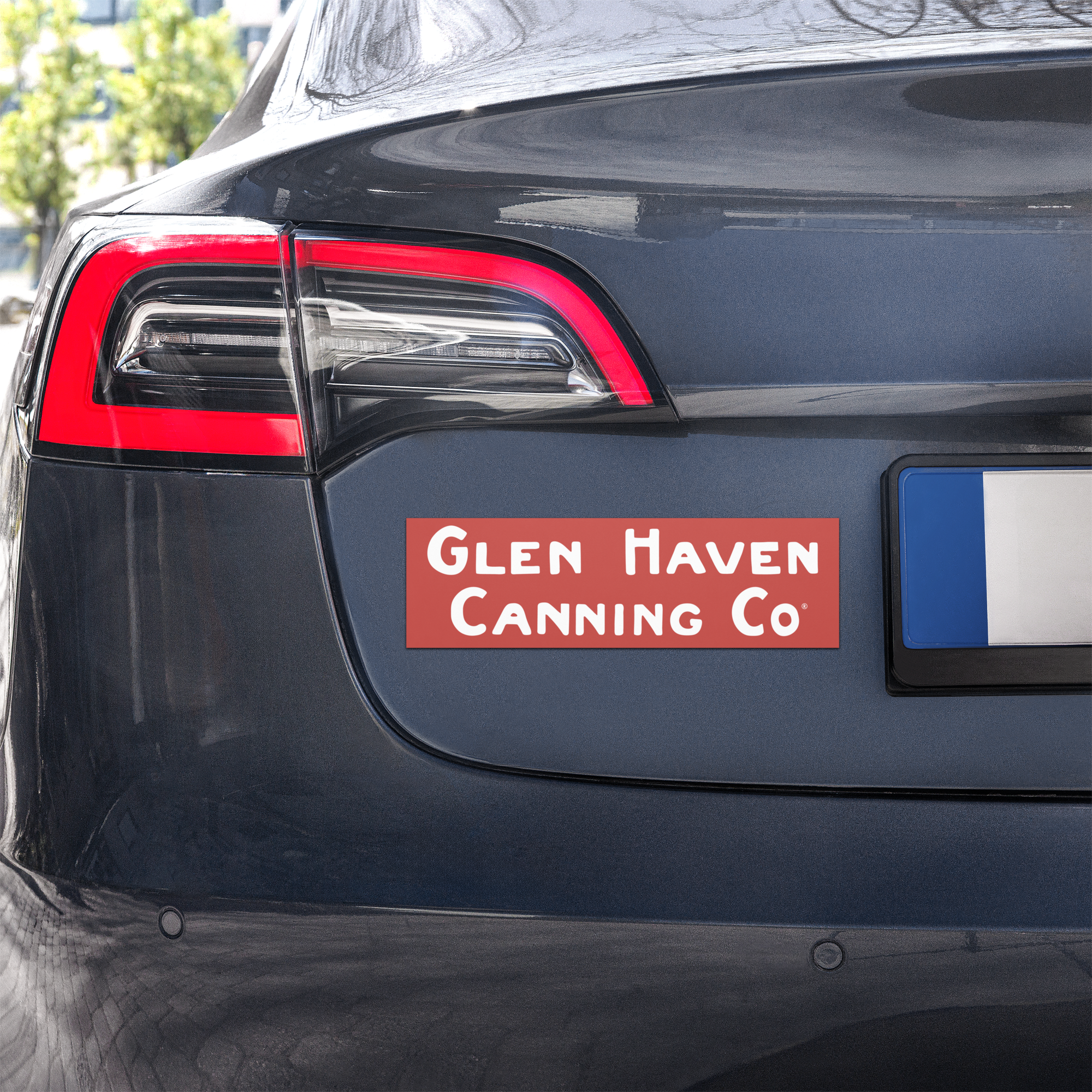 car-magnets-white-10x3-front-6a1c7402617c1.png
