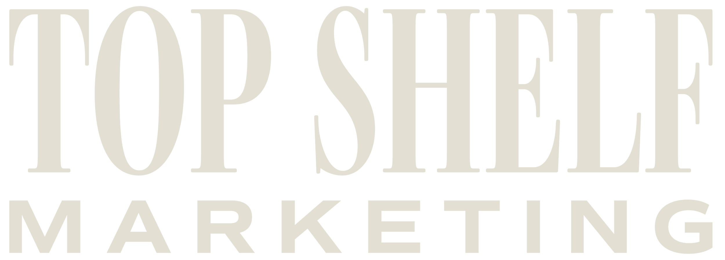 Logo for Top Shee Marketing with large uppercase text