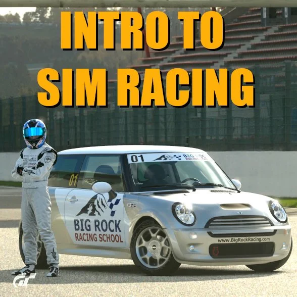 Sim Racing 101.jpeg