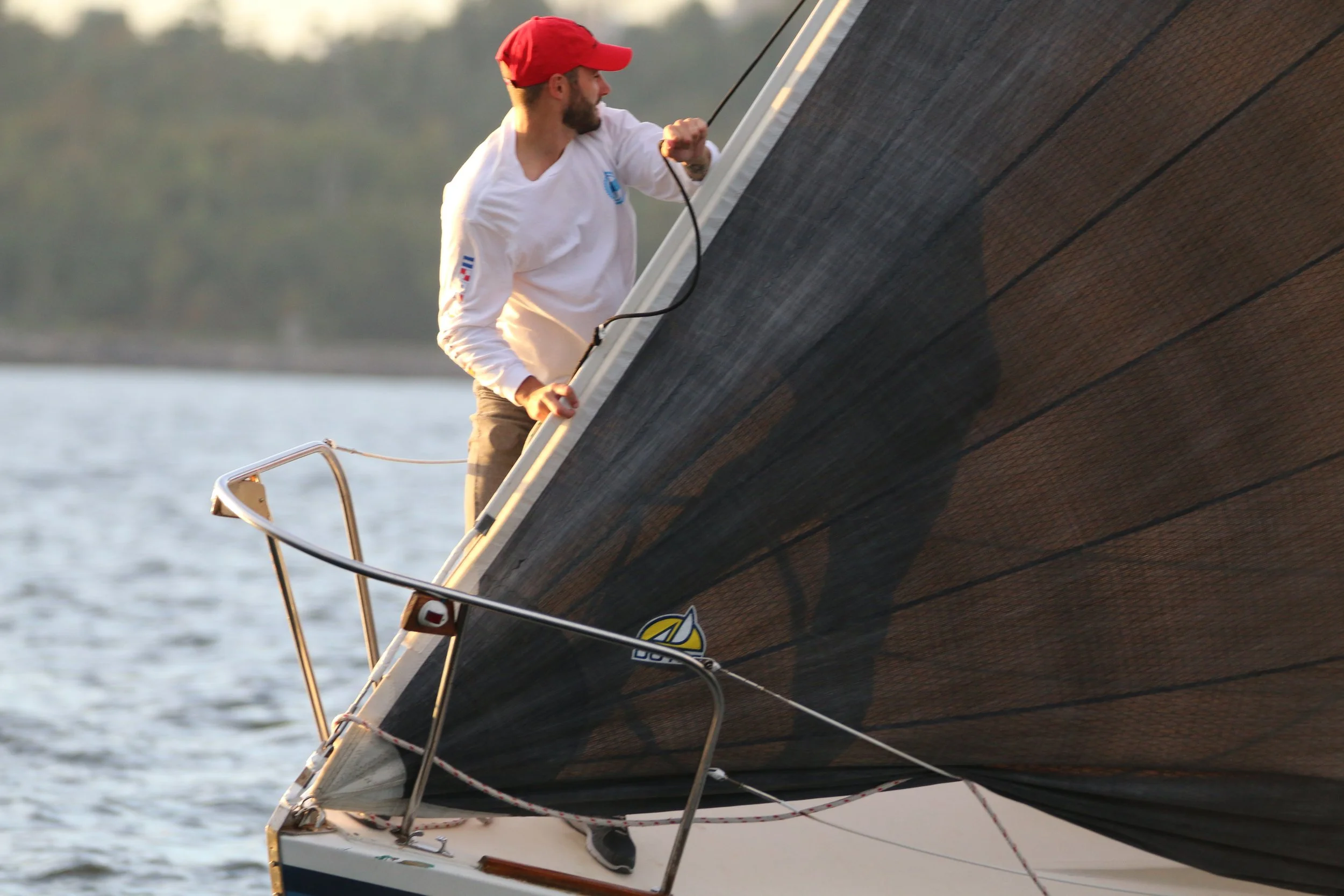 Cross cut vs. radial sails