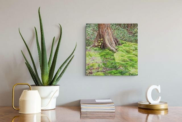 sunny-moss-under-tree-higgins-mockup2.jpg