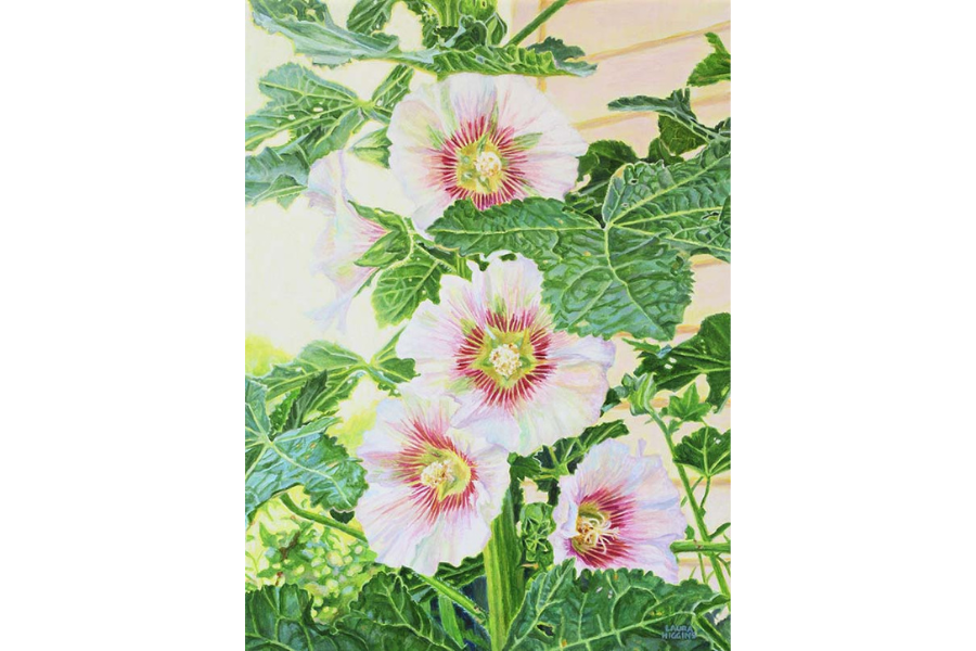 white-pink-hollyhock-painting-higgins.png