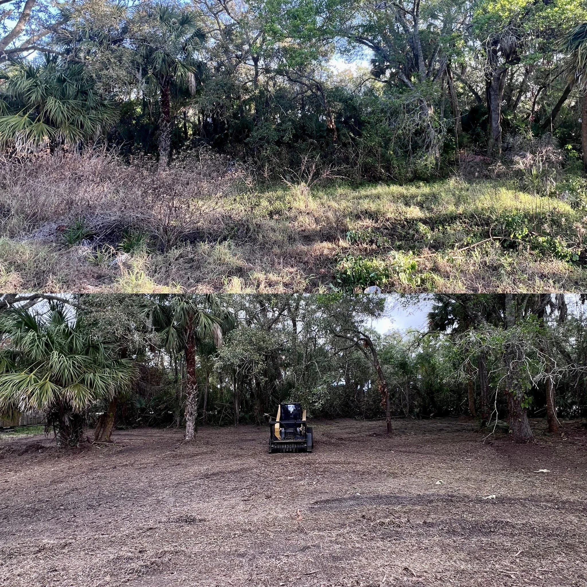 Forestry mulching machine grinding Florida underbrush into eco-friendly mulch.