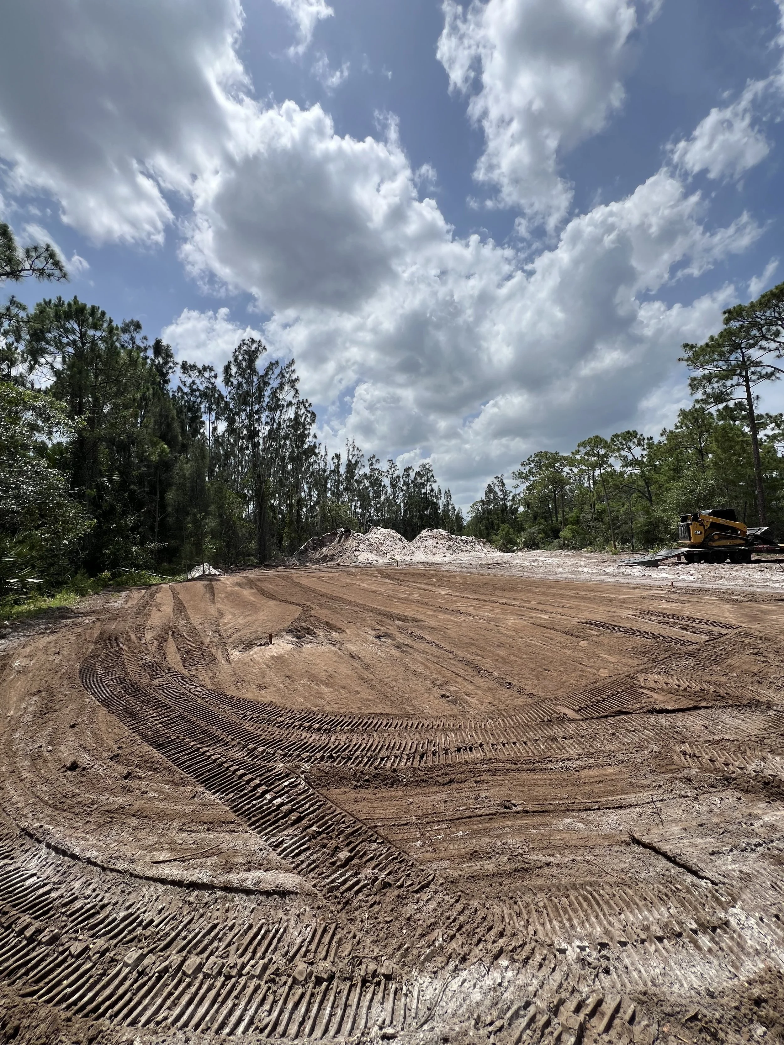 Skid steer clearing dense Florida brush and trees for land preparation.