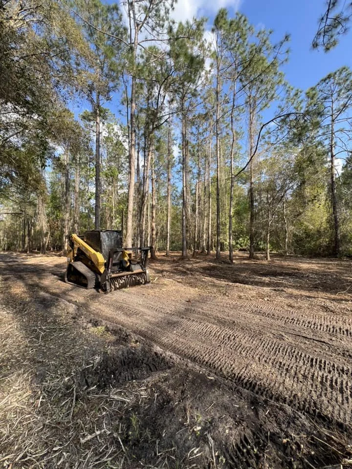 Land Clearing.jpg