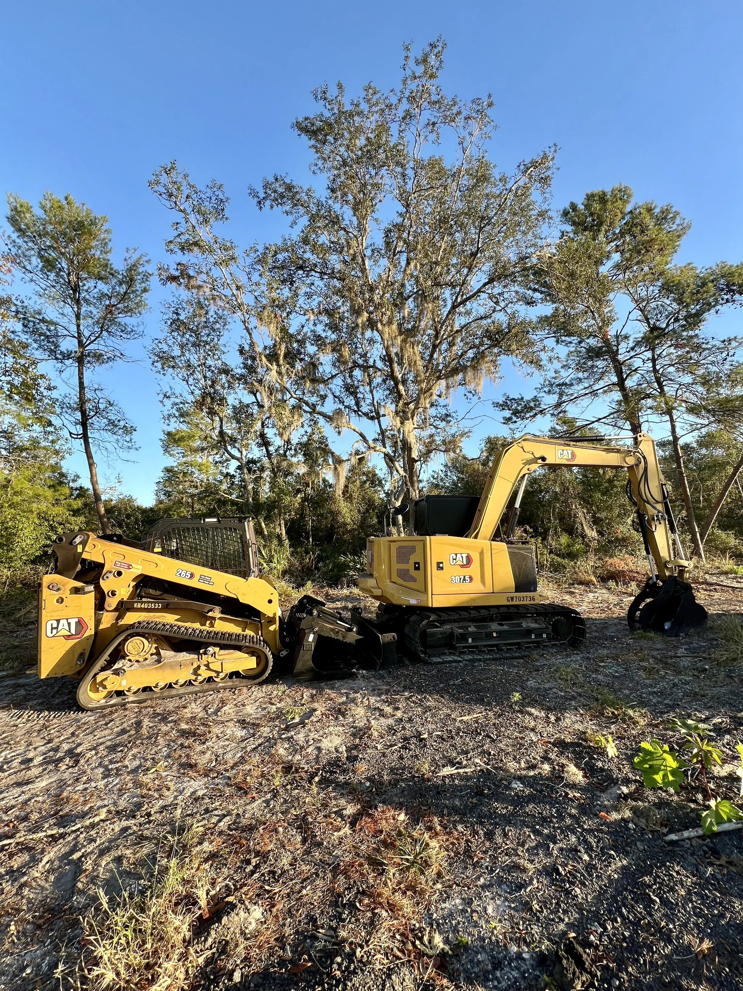 Two yellow CAT construction vehicles, a skid steer and an excavator, are parked on uneven ground in a wooded area with large trees in the background under a clear blue sky.